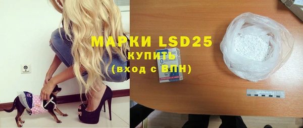индика Белоозёрский