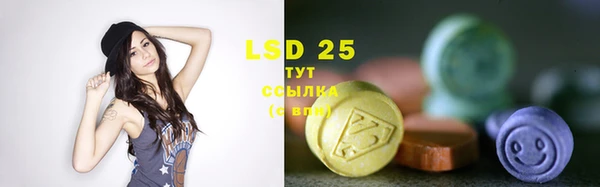 индика Белоозёрский