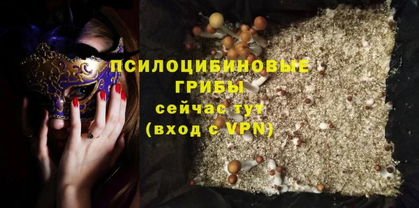 индика Белоозёрский