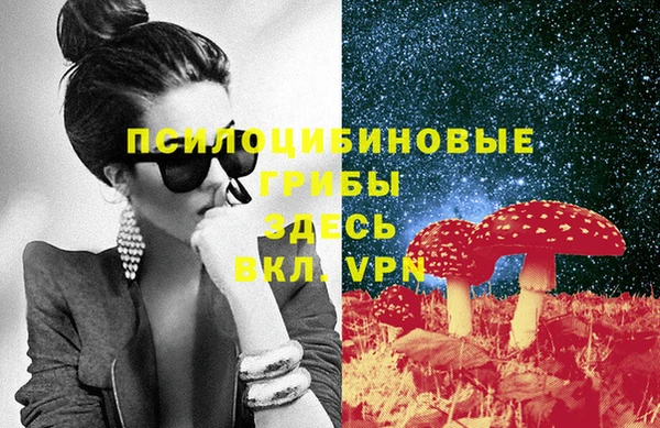 стаф Белокуриха