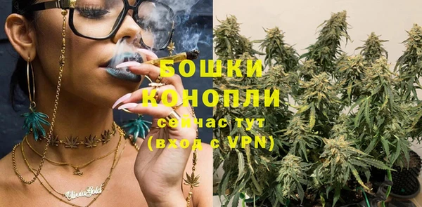 стаф Белокуриха