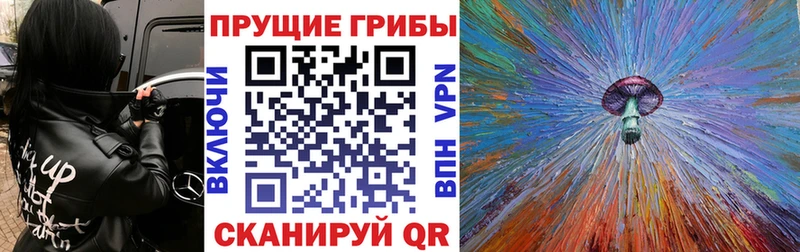 Псилоцибиновые грибы Cubensis  Шилка 