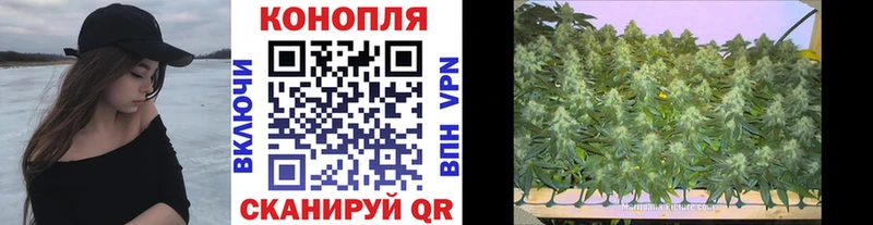 дарнет шоп  kraken tor  Марихуана White Widow  Шилка 
